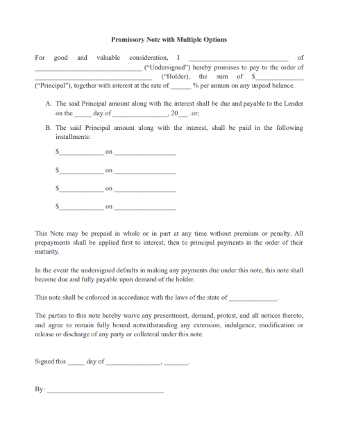 Promissory Note with Multiple Options